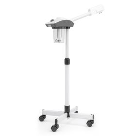 Facial Steamer Esthetician Steamer Timing Professional Aromatherapy Humidifier Face Spa Mist Steam for Home Beauty Salon, Personal Skin Care Deep (Option: 77820152)
